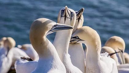 乐鱼体育注册入口：开启你的专属体育世界之门