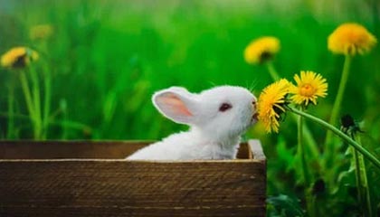 乐鱼体育注册入口：开启你的专属体育世界之门